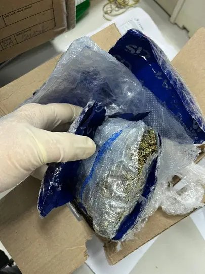 Polícia Civil apreende drogas que estavam sendo enviadas para outros pontos de SC