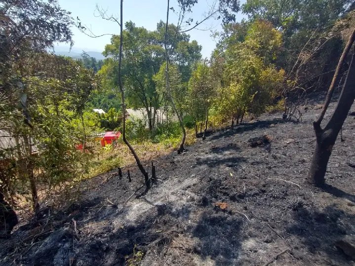 Corpo de Bombeiros orienta sobre como prevenir incêndios florestais