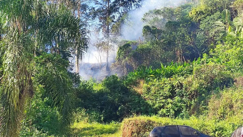 (VIDEO) Bombeiros são acionados para incêndio em vegetação em Brusque