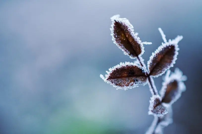 Termômetros a 4°C: semana iniciará com frio intenso em SC