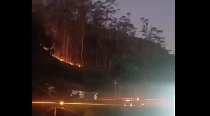 (VIDEO) Incêndio em vegetação mobiliza Bombeiros no Dom Joaquim
