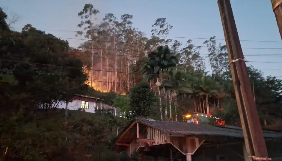 Área afetada pelo fogo era de reflorestamento de eucalipto