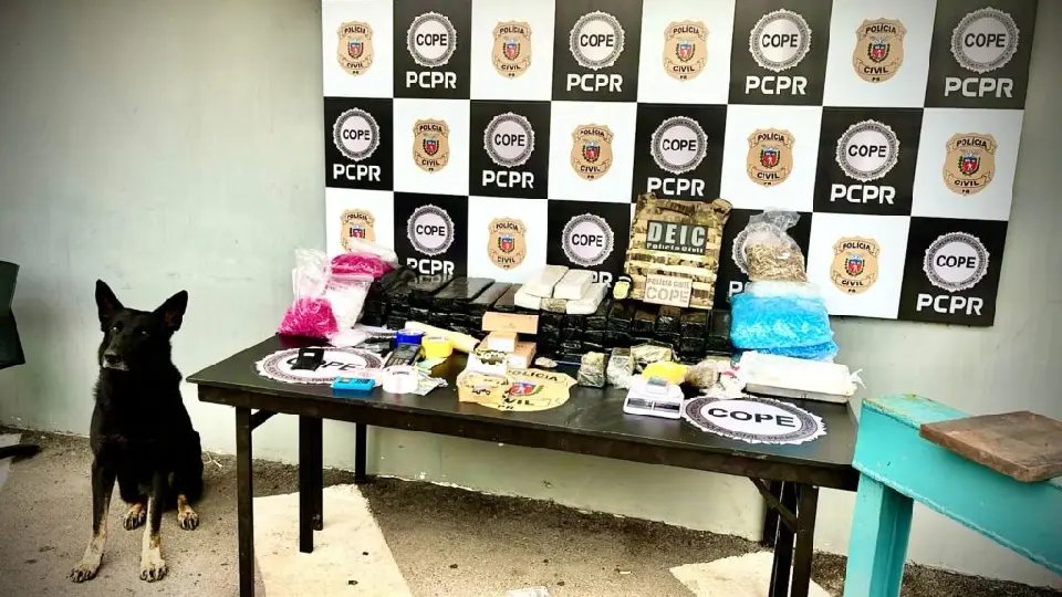 Polícia Civil de Santa Catarina deflagrou a Operação Fraude Laboral no Paraná 