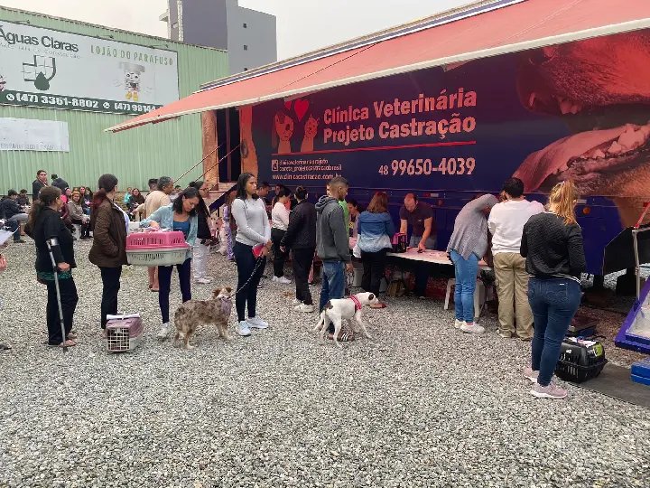 Mutirão castrou mais de 200 animais gratuitamente no sábado