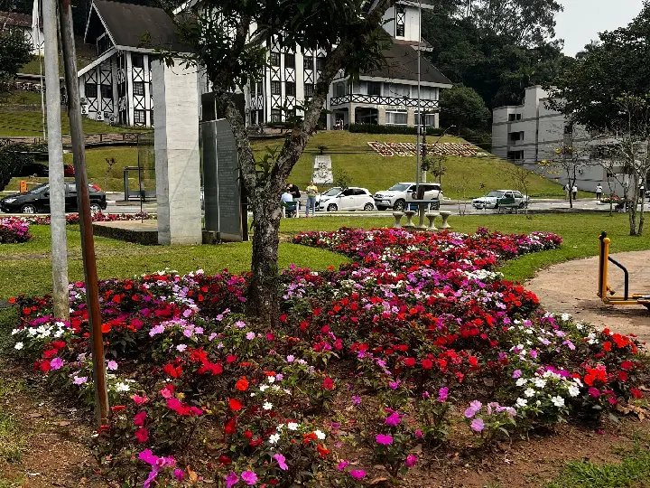 Chegada da primavera traz novas cores às ruas de Brusque