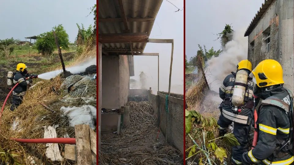 Galpão de enfeites de natal quase é atingido por incêndio em vegetação