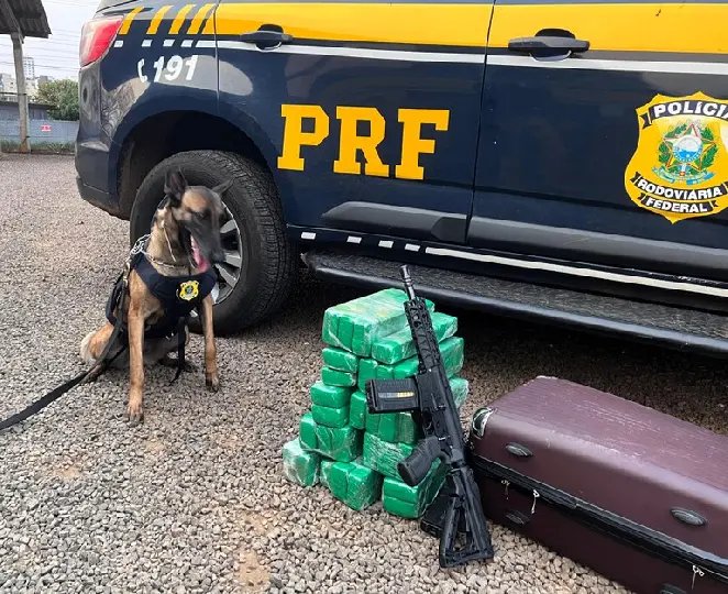 Adolescente é apreendida com maconha, fuzil e munições