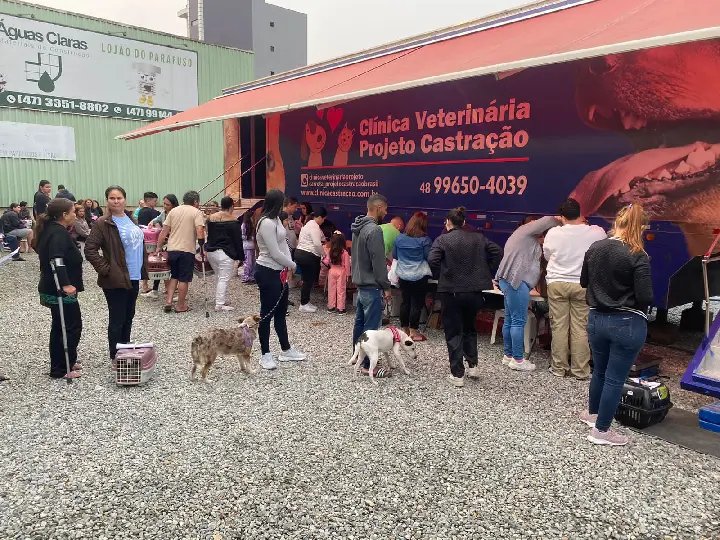 Mutirão abre 20 novas vagas para castração de gatos