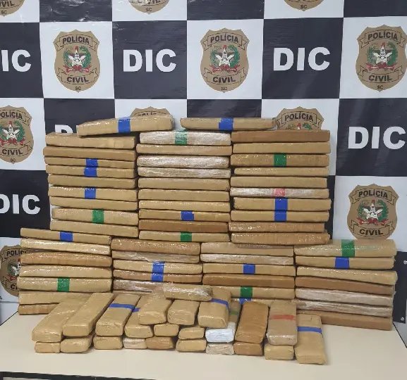 (VIDEO) Polícia Civil de Brusque apreende 80 kg de maconha