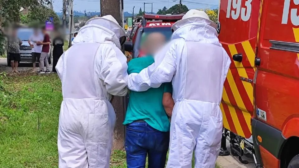 Idoso de 86 anos é atacado por abelhas e fica ferido em Gaspar