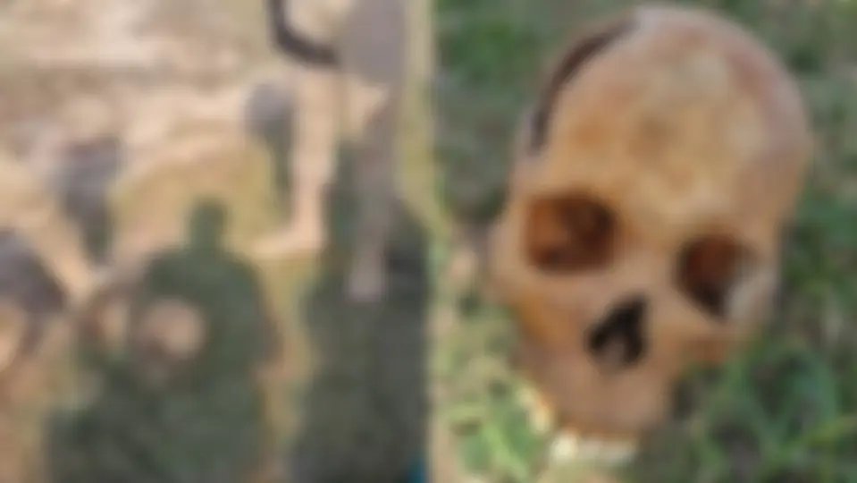 Policiais identificam crânio com perfurações e cordas amarradas vindo do mar 