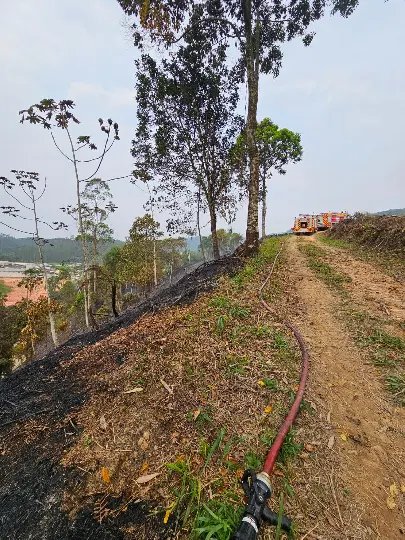 Área de mata é atingida pelas chamas em Guabiruba