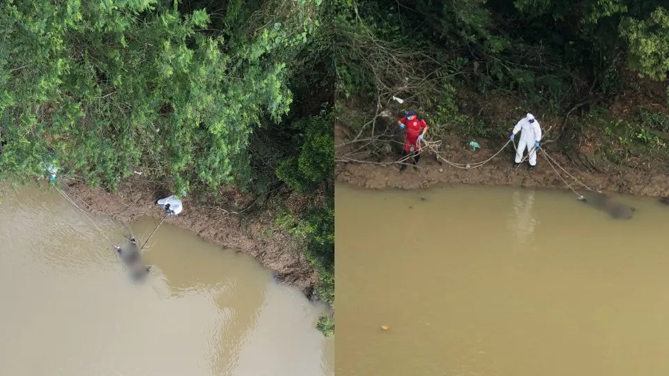 Cadáver em alto grau de decomposição é encontrado boiando em rio