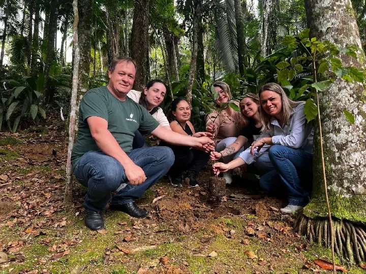 Trilha no Parque Zoobotânico recebe 42 novas árvores