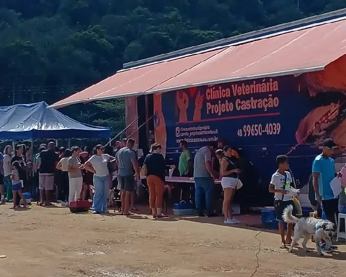 Mutirão de castração, no sábado (28), reuniu 179 animais