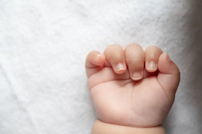 Polícia investiga morte de bebê de seis meses em Santa Catarina 