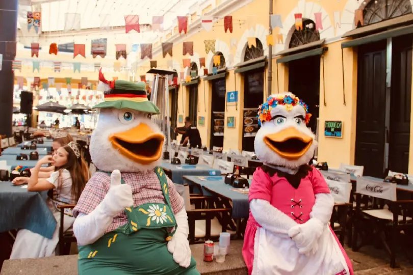 Fenarreco encanta a Ilha da Magia neste sábado 