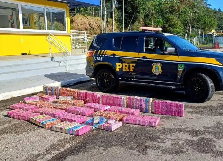PRF apreende 250 quilos de maconha e prende três homens na BR-101 