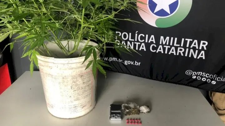 Mãe denuncia o próprio filho de 19 anos por tráfico de drogas