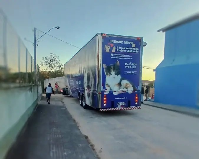 Quarto mutirão de castração tem data marcada para o próximo domingo