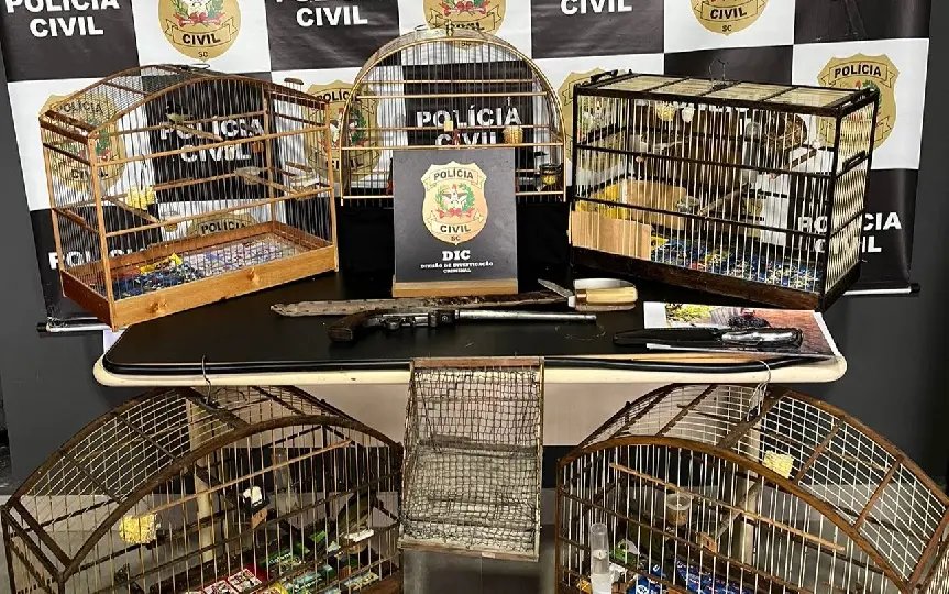 Polícia Civil prende homem por caça ilegal de animais silvestres