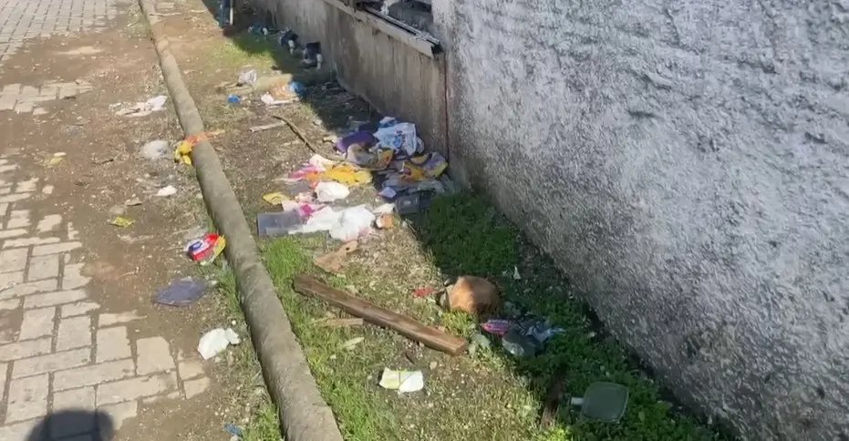 (VÍDEO) Animais soltos no Paquetá espalham lixo de sacos pelas ruas; situação vira reclamação