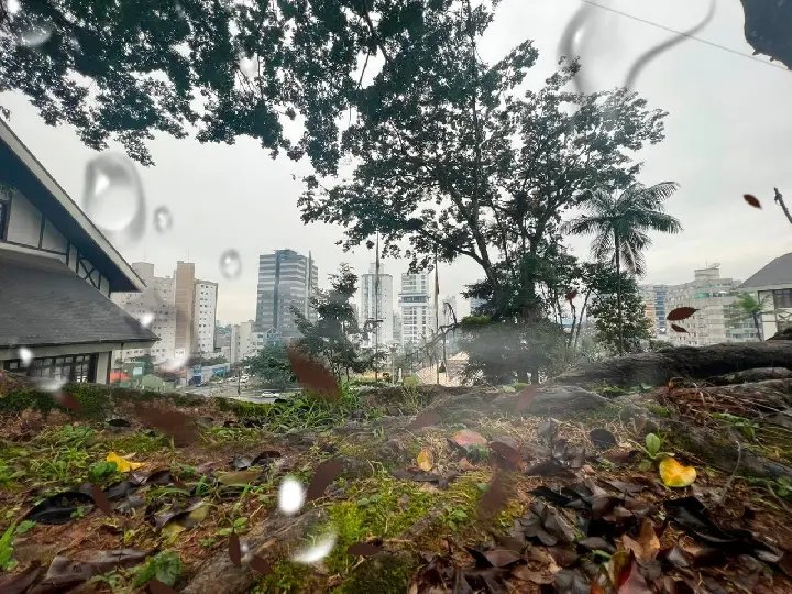 Brusque deve sofrer com temporais e vendavais durante esta quinta