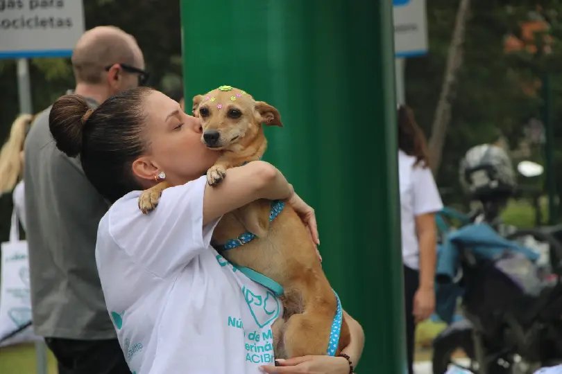 1ª Cãominhada promove conscientização sobre adoção