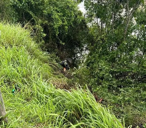 Motorista perde controle do carro e despenca no Rio Itajaí-Açu