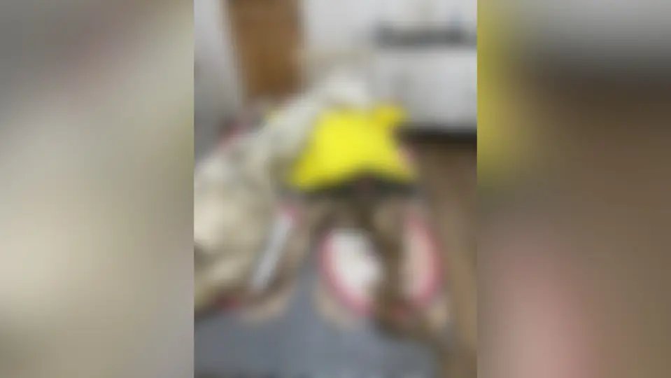 Idoso desenterra restos mortais da mãe e os leva para casa, em SC