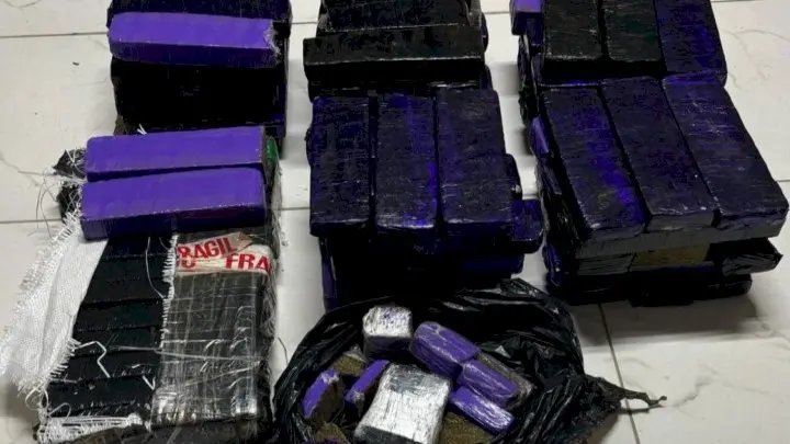 Quase 70 kg de drogas são apreendidos pela PM 