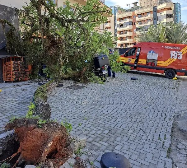 Motociclista fica ferido após árvore cair em estacionamento 
