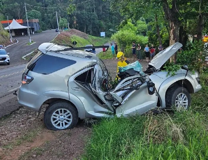 Idoso morre e veículo fica preso em árvore após grave acidente