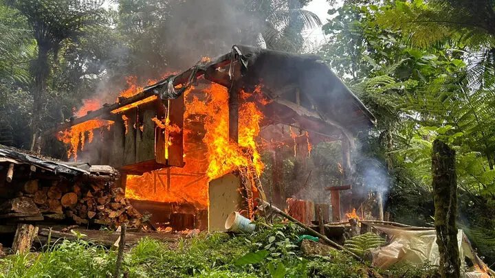 2ª fase de operação já deflagrada em Guabiruba e região faz polícia destruir ranchos de caça