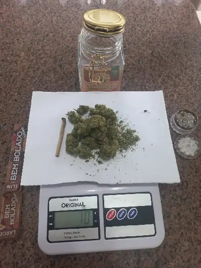 Cheiro de maconha "entrega" motorista em blitz; polícia encontra mais da droga no carro