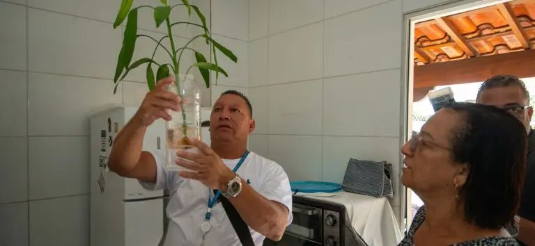 Dia D de mobilização contra a dengue será neste sábado