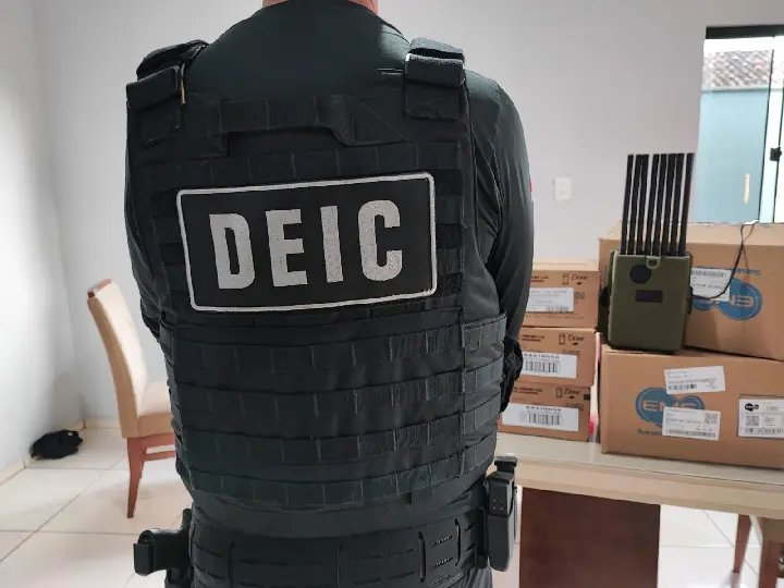 Suspeitos de furtar veículos em Brusque e outras cidades são alvo de operação