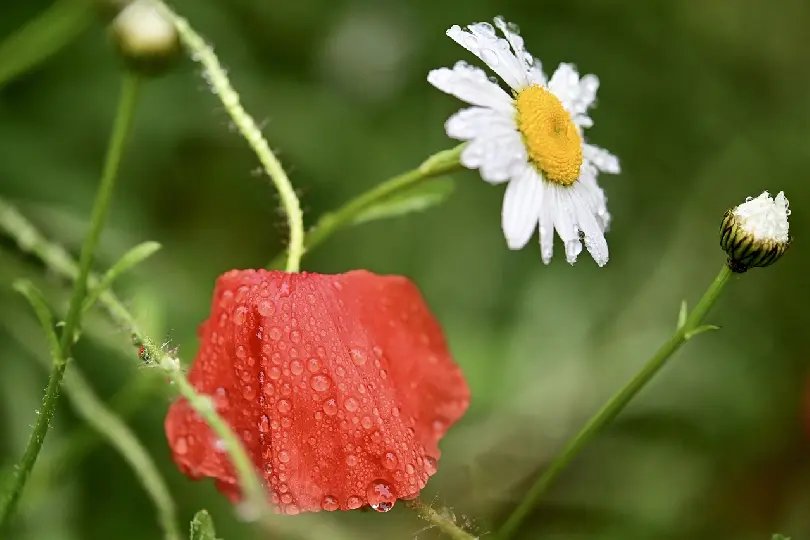 Fim da primavera deve ser marcado por ventos e chuva intensa em SC