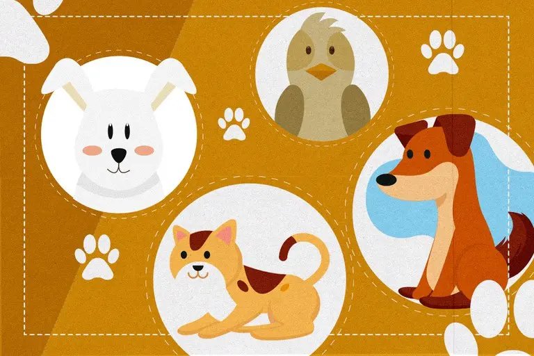 Cadastro Nacional visa combater maus-tratos e controlar zoonoses de animais domésticos