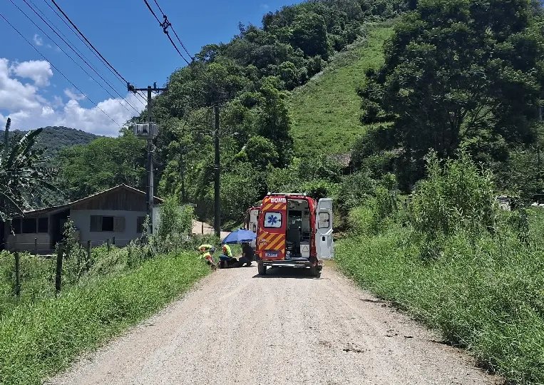 (VÍDEO) Tentativa de evitar colisão com boi termina em acidente em Brusque