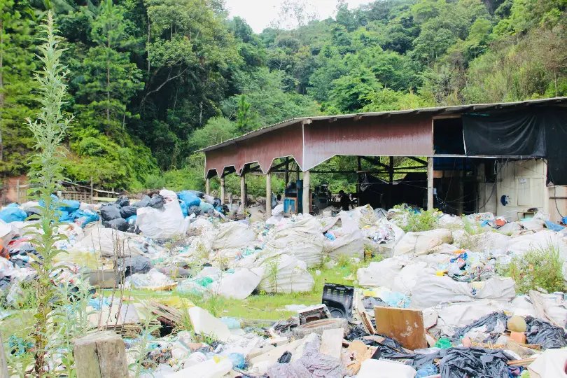 Prefeitura faz limpeza em recicladora que funcionava como criadouro de dengue