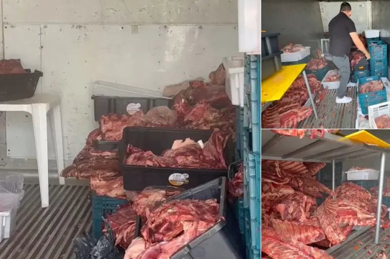 Quase três toneladas de carne estragada são apreendidas em açougue