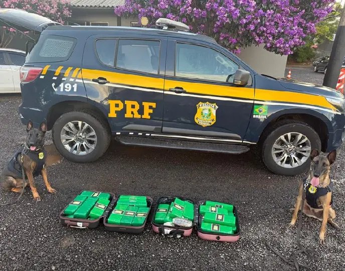 PRF apreende drogas e captura foragido da Justiça