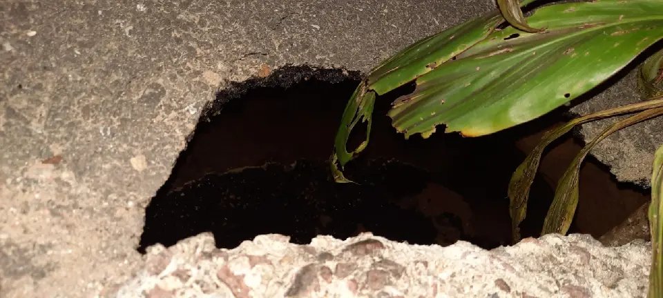 (VÍDEO) Moradora pede soluções para problemas na rua Luiz Imhof