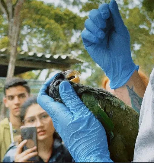 Zoobotânico promoverá segunda edição do Acampa Silvestre