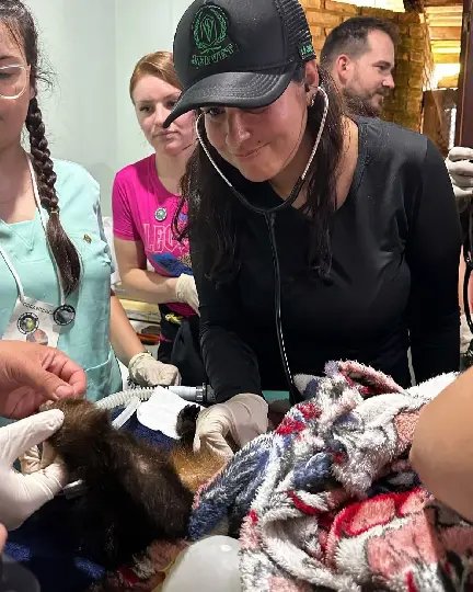 Zoobotânico realiza segunda edição do Acampa Silvestre