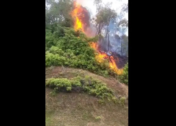 (VÍDEO) Bombeiros são acionados para incêndio em vegetação