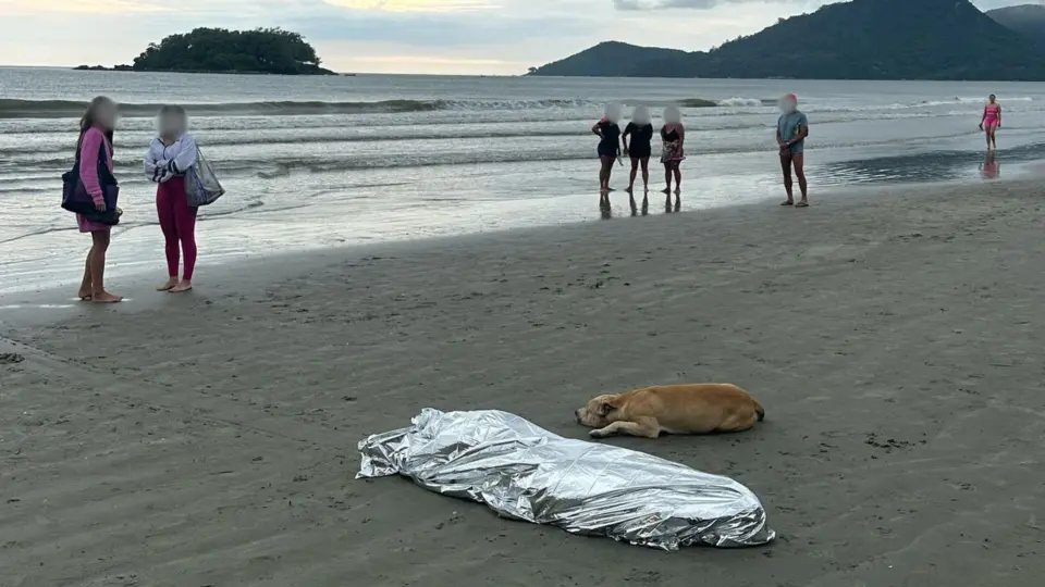 Corpo é encontrado em faixa de areia e cão é visto ao lado da vítima
