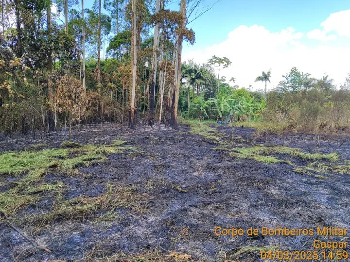Queima de lixo causa incêndio em vegetação em Gaspar