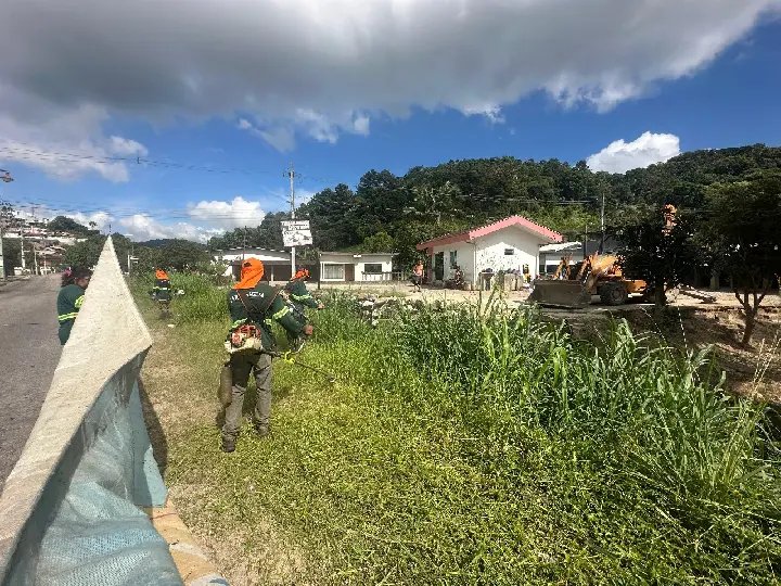 Mutirão de roçada é realizado na Rua São Pedro